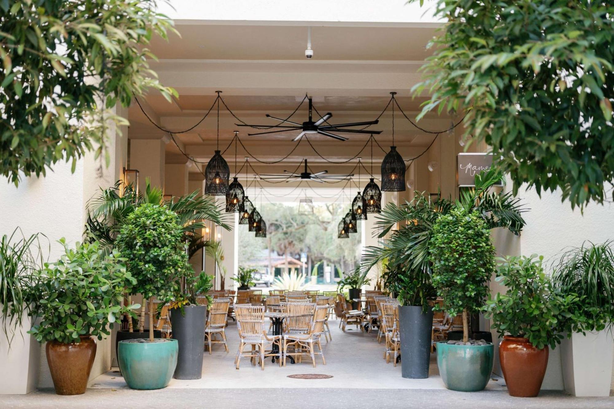 Hotel Thesis Miami Coral Gables, Curio Collection By Hilton